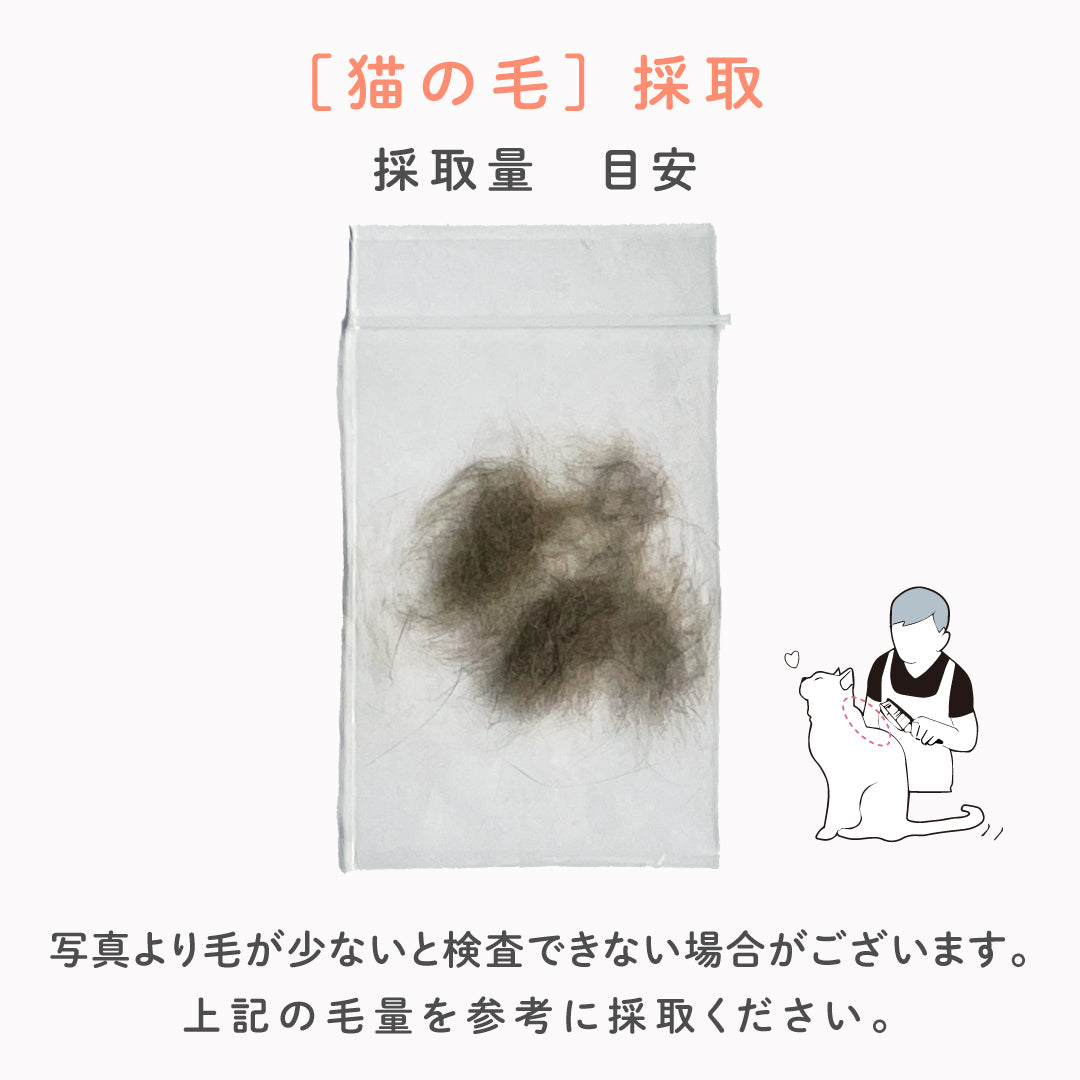 猫用水銀検査(シークレット)