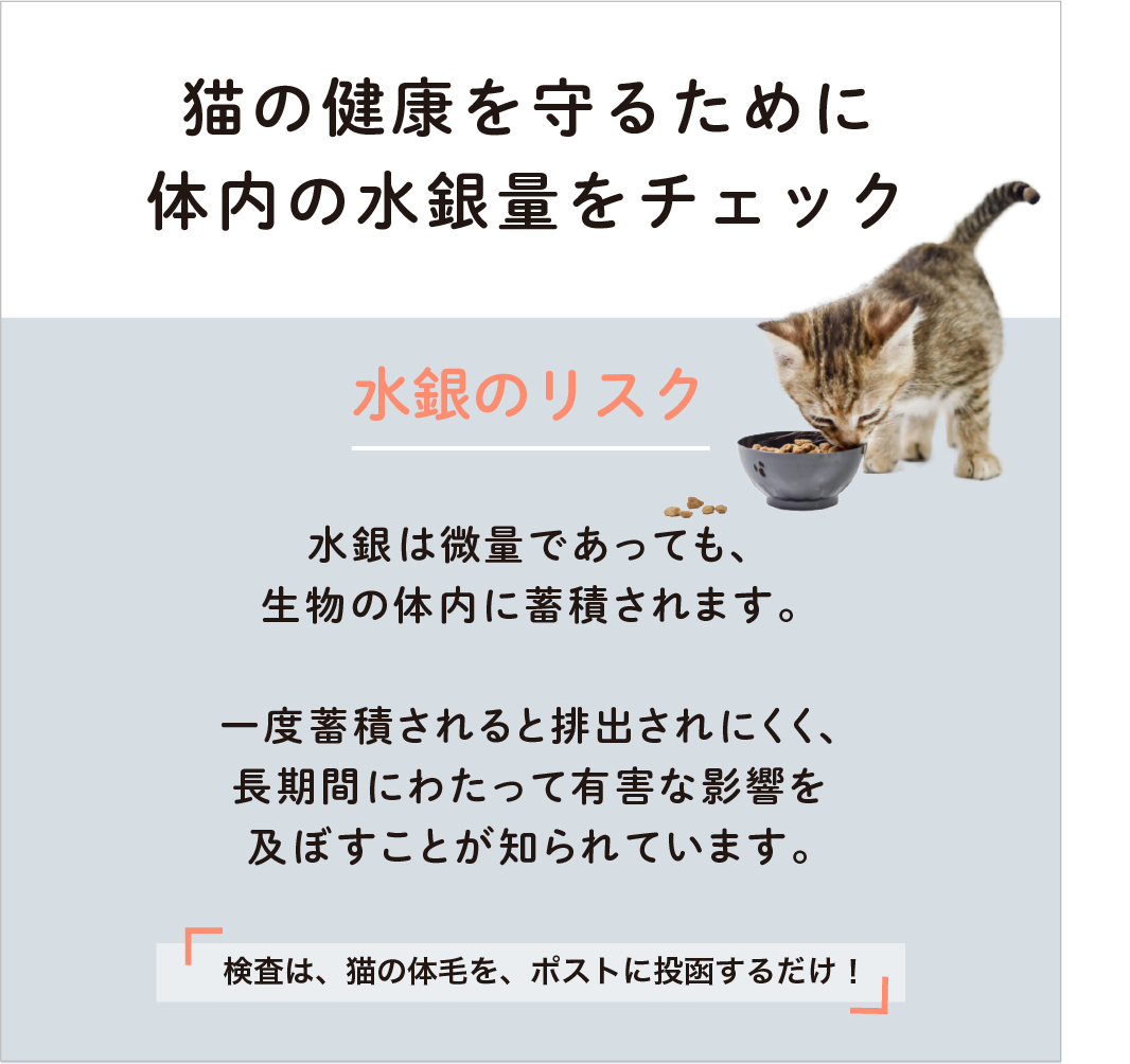 猫用水銀検査(シークレット)